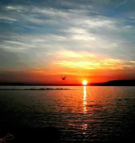 Апартаменты Sea And Sun